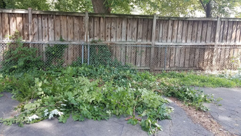 Yard Waste Removal