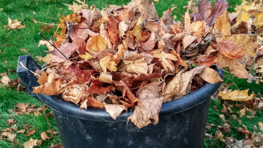 Yard Waste Removal