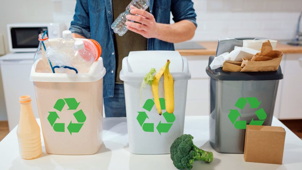 Eco-Friendly Junk Disposal