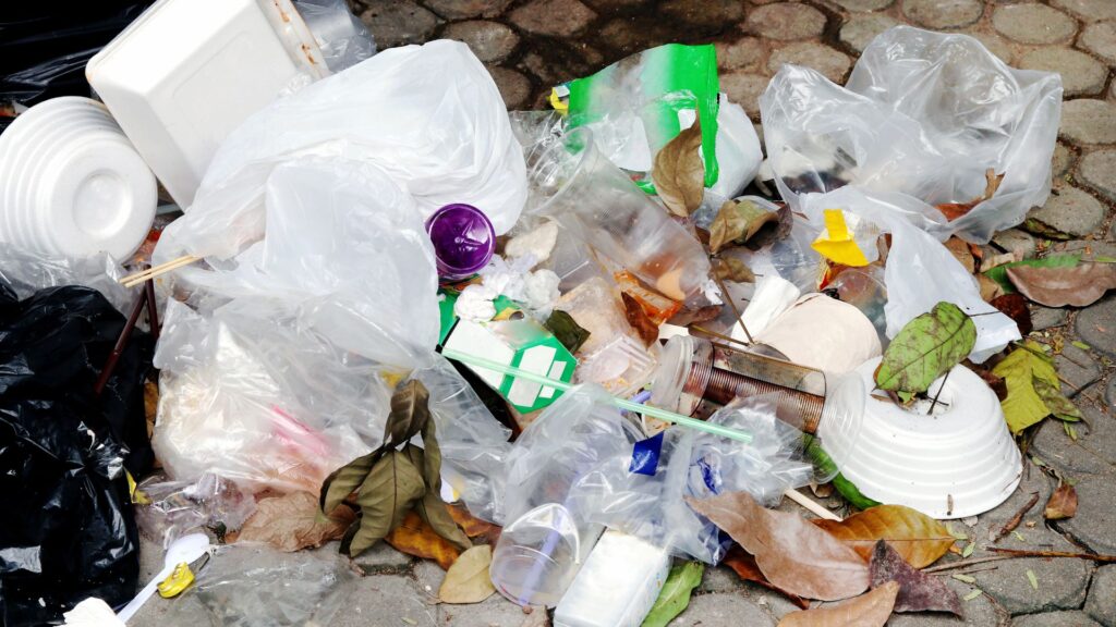 Eco-Friendly Junk Removal