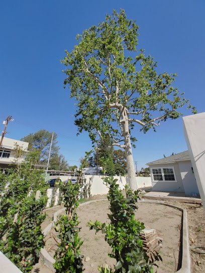 Atwater Village