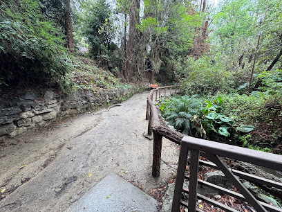 Fern Dell Nature Preserve