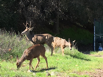 La Crescenta