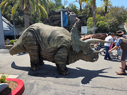 Raptor Encounter